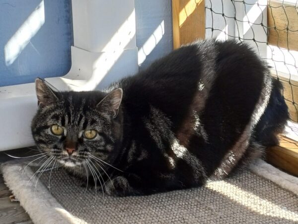 Greta - Bild 3