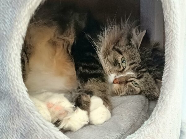 Alina - Bild 3