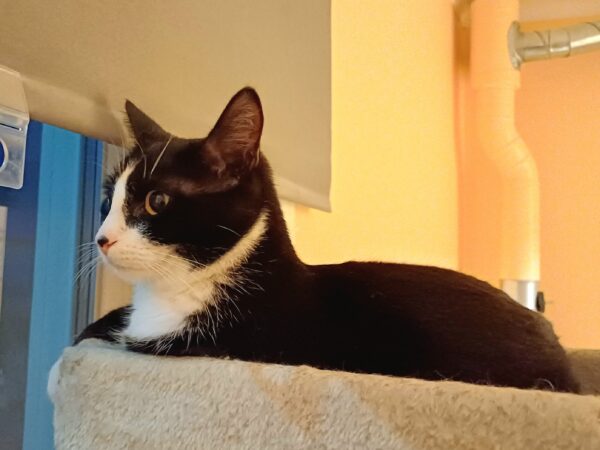 Gunde - Bild 3