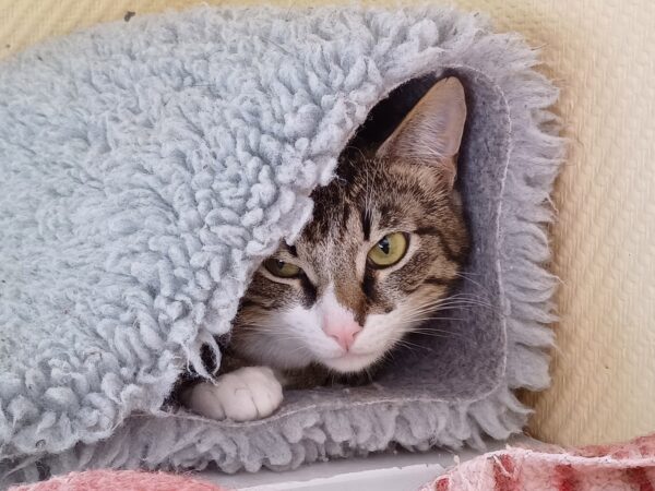Glenn - Bild 3