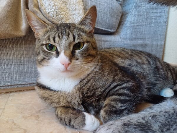 Glenn - Bild 4