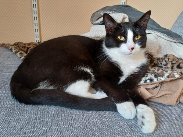 Gunde - Bild 2