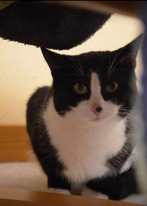 Gunde - Bild 2