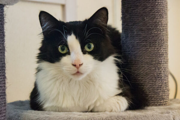 An'kalle - Bild 2