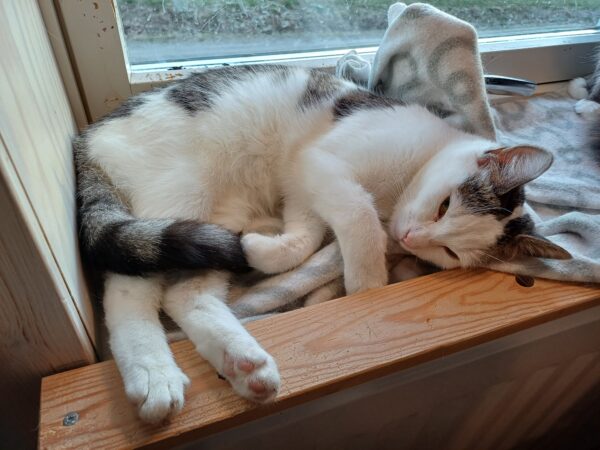 Gaby - Bild 3