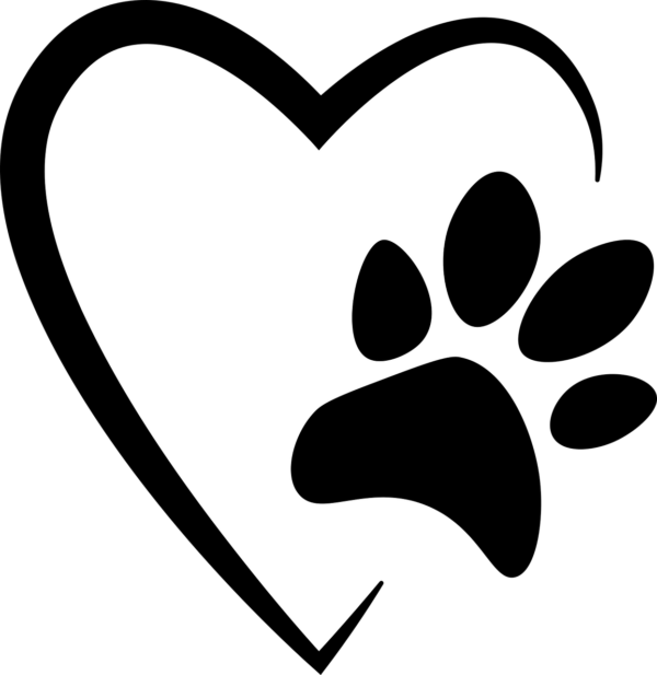 Kattunge