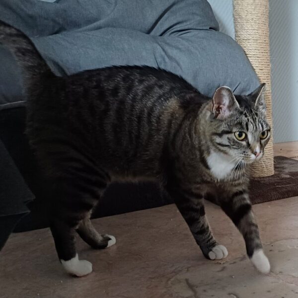 Grace - Bild 3
