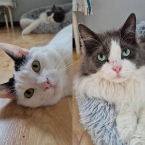 Gurra & Slash