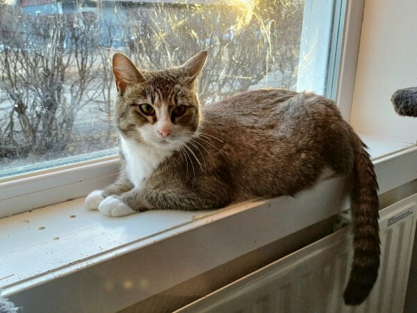 Gunhild - Bild 3