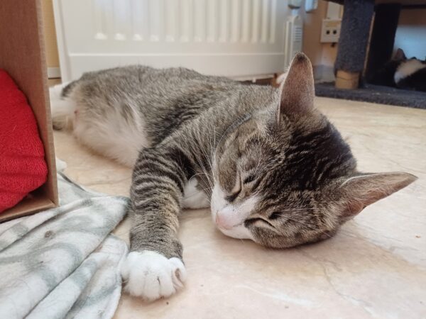 Gunhild - Bild 4