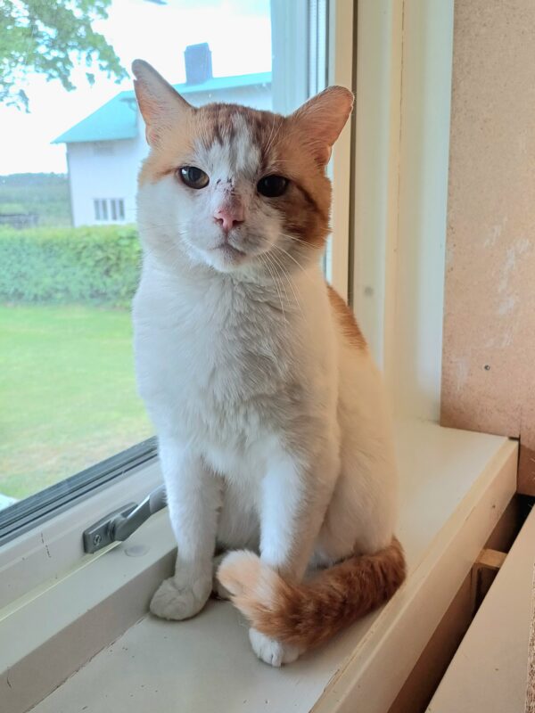 Axel - Bild 3