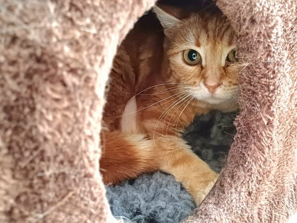 Sally - Bild 2