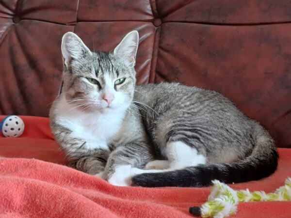Gunhild - Bild 2
