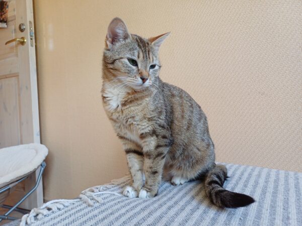 Signe - Bild 3