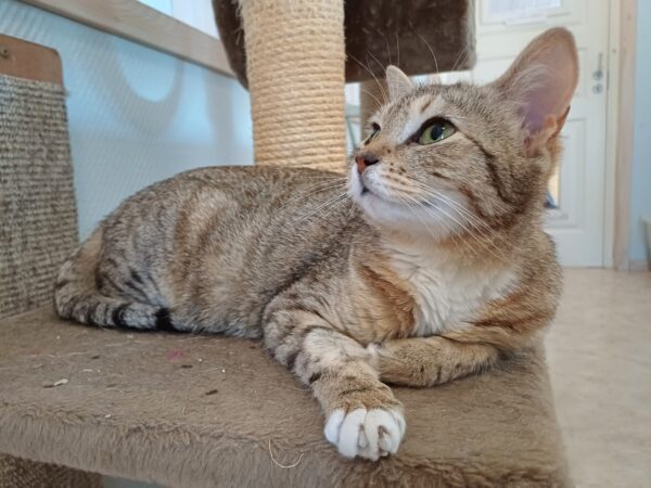 Signe - Bild 2