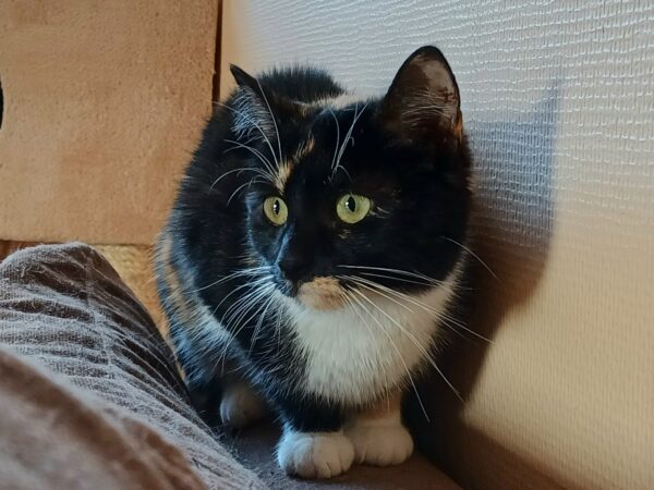 Agnes - Bild 2