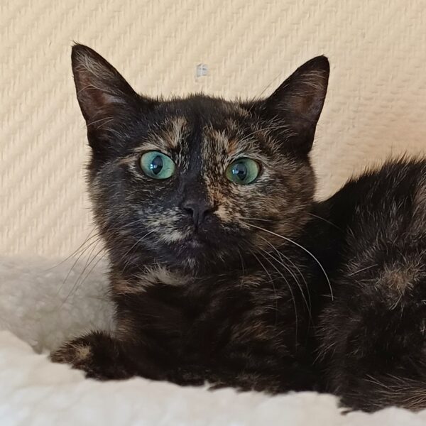 Steffi - Bild 2