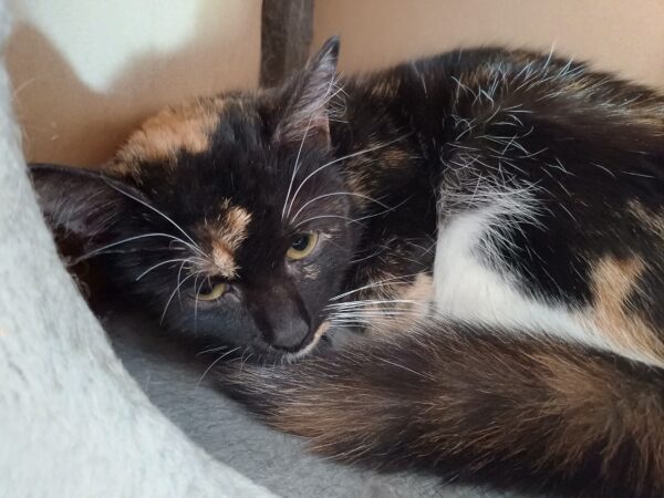 Agnes - Bild 3
