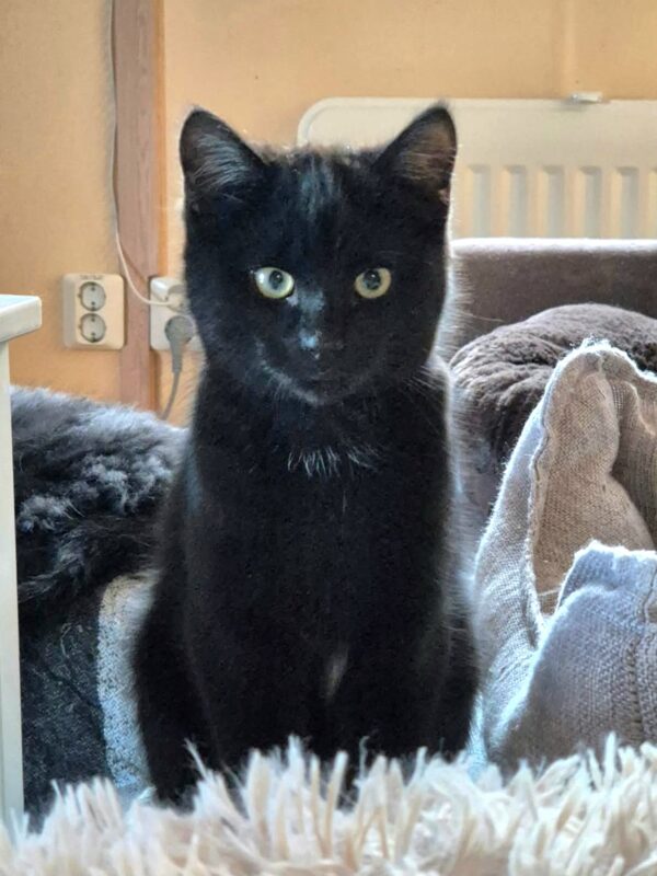 Bryson - Bild 4