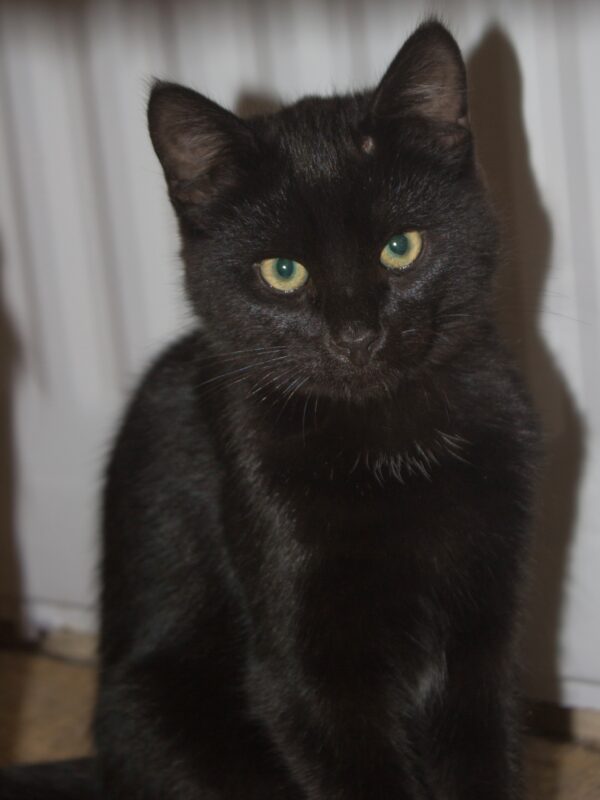 Bryson - Bild 3