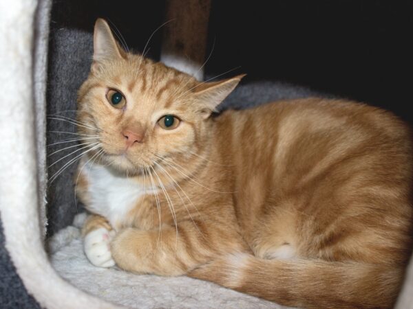 Abbe - Bild 4