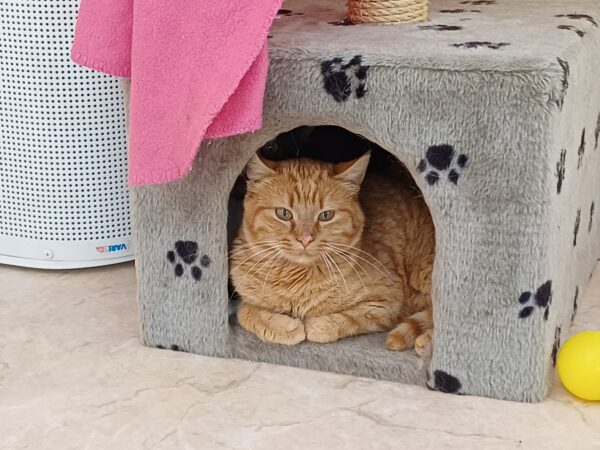 Billy 2 - Bild 2
