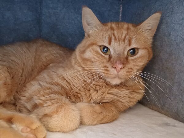 Billy 2 - Bild 3