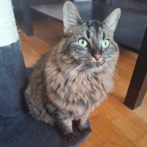 Selma
