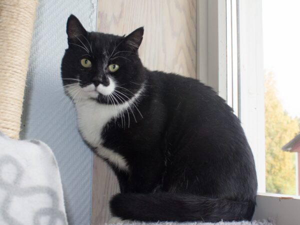 Kenneth - Bild 2