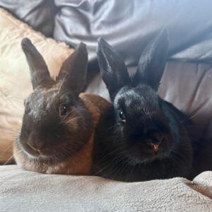 Fiona & Funny