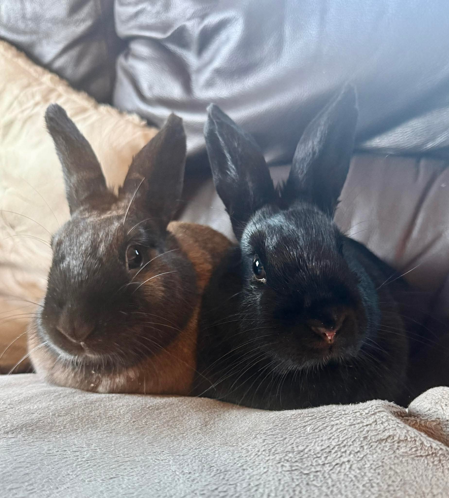 Fiona & Funny