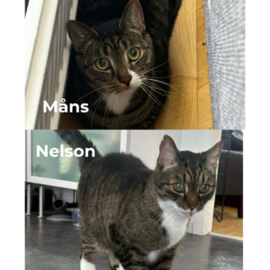 Måns & Nelson