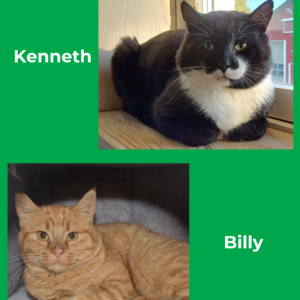 Kenneth & Billy