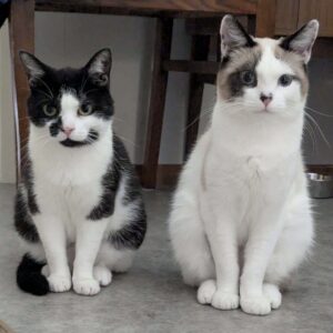 Mia & Molly
