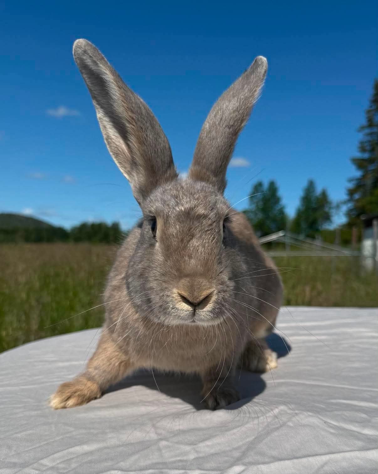 Astrid & Arvid - Bild 3