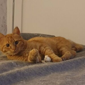 Billy