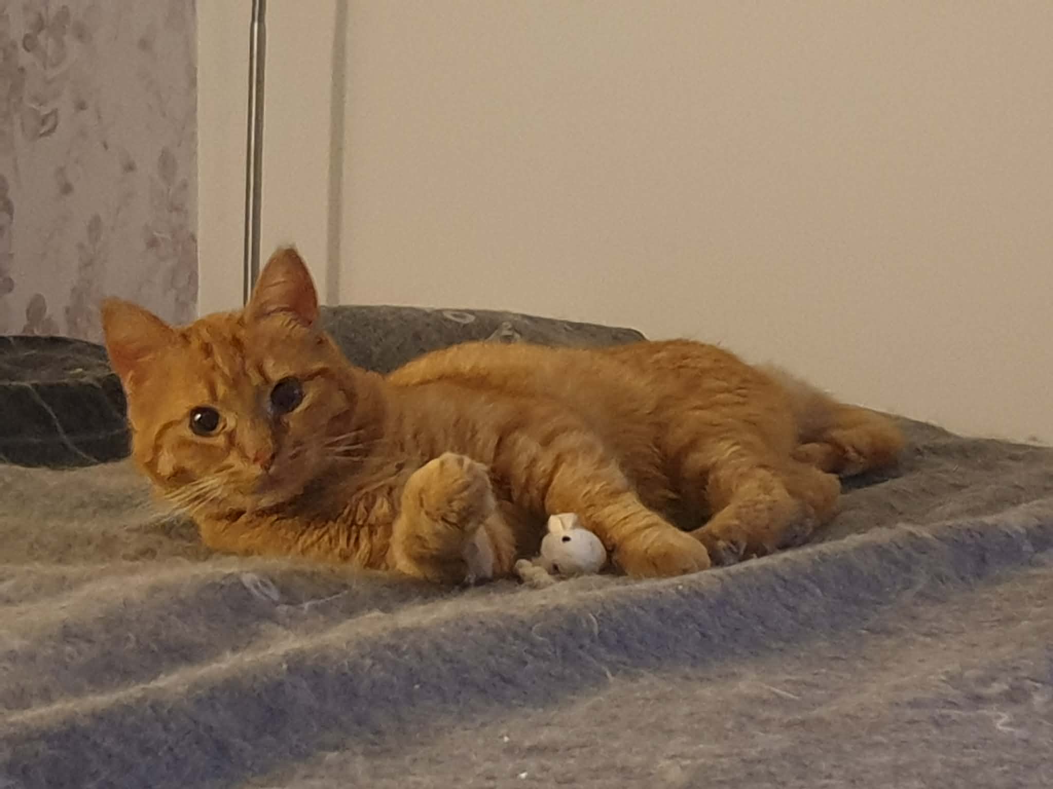 Billy