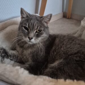 Ulla-Bella